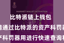 比特派链上钱包  用户不错通过比特派的资产科罚器用进行快速查询和分析
